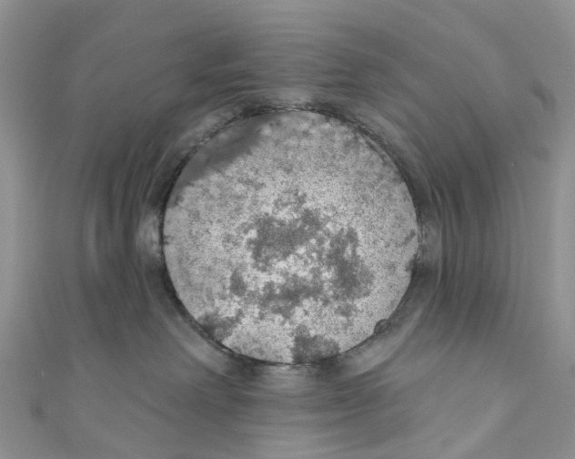 X0000110700238200907241131