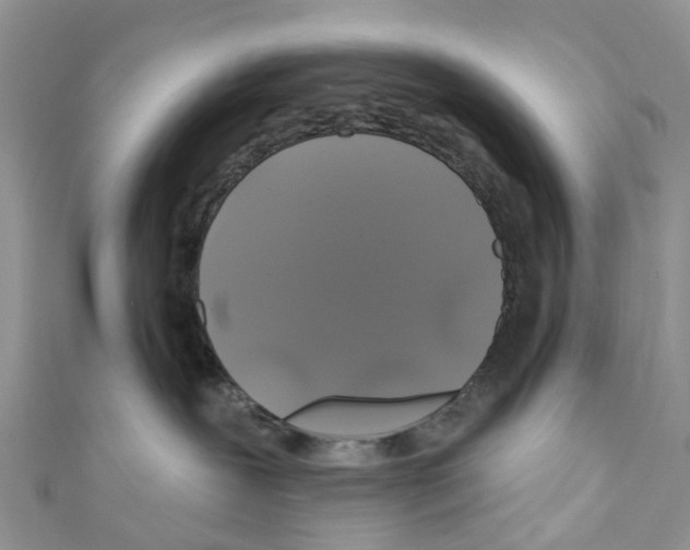 X0000110700239200907241131