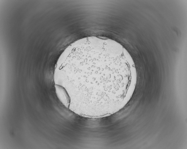 X0000110700240200907241131