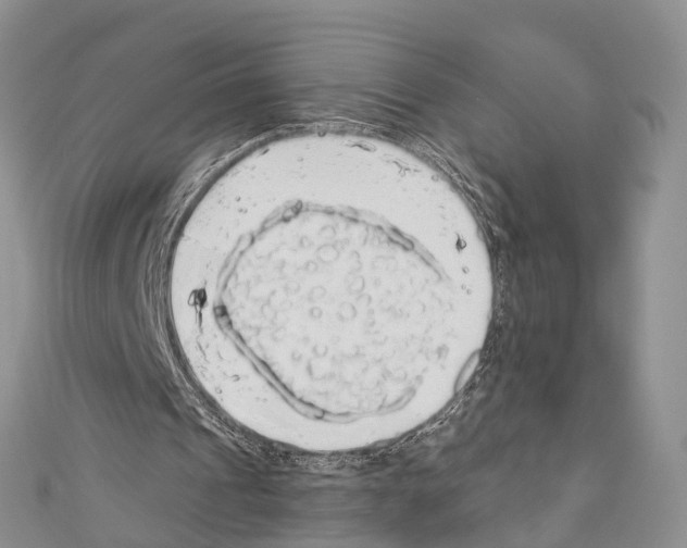 X0000110700241200907241131