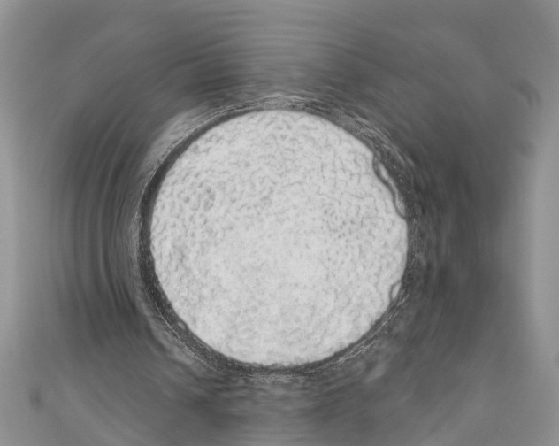 X0000110700242200907241131