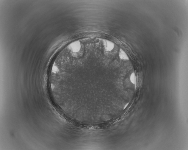 X0000110700243200907241131