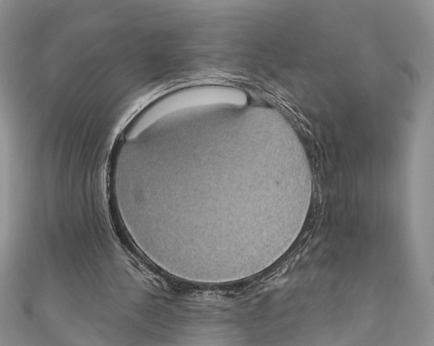 X0000110700244200907241131