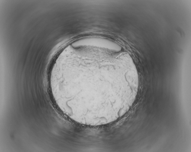 X0000110700245200907241131