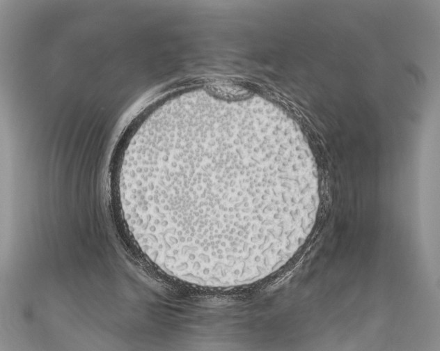 X0000110700246200907241131