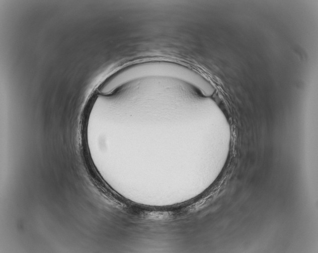 X0000110700248200907241131