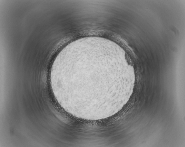 X0000110700250200907241131