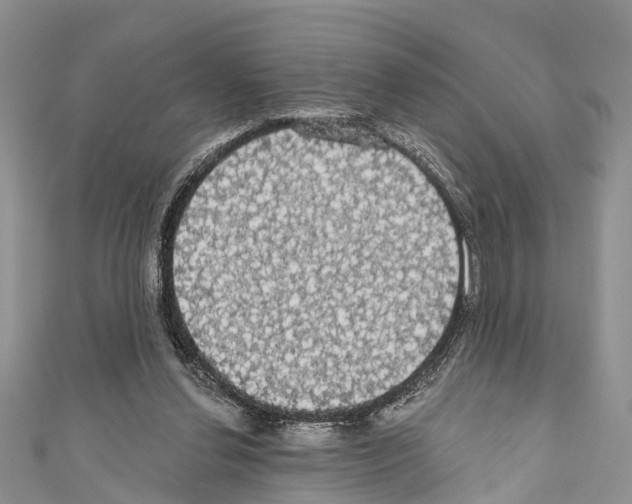 X0000110700252200907241131
