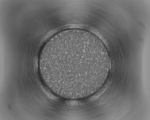 X0000110700253200907241131