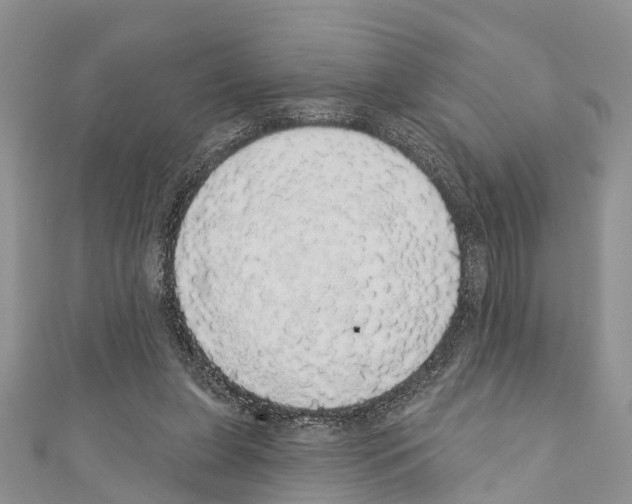 X0000110700255200907241131
