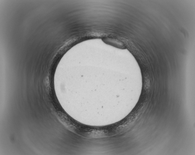 X0000110700256200907241131