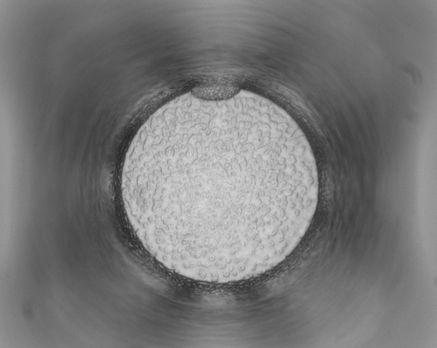 X0000110700258200907241131