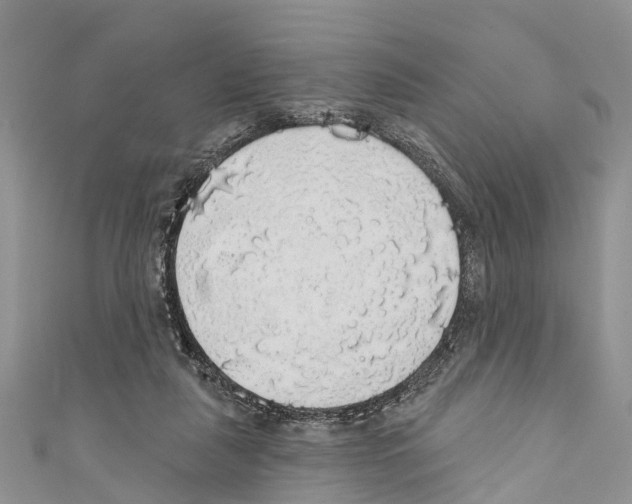 X0000110700259200907241131