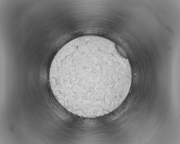 X0000110700261200907241131