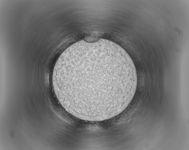 X0000110700262200907241131