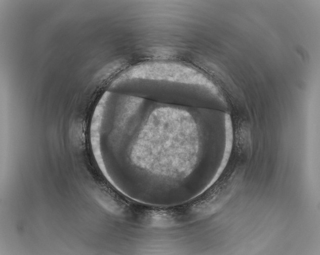 X0000110700264200907241131
