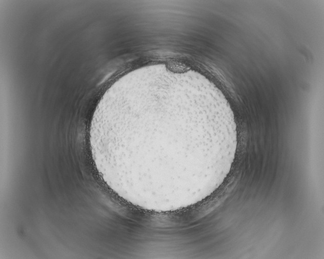 X0000110700265200907241131