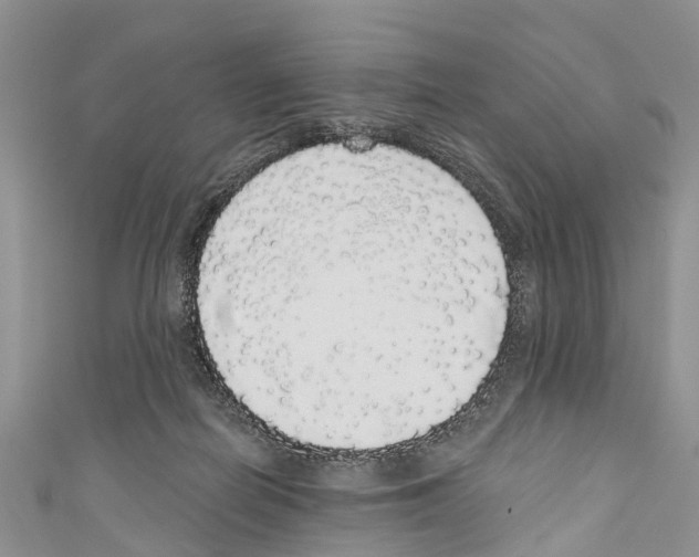 X0000110700266200907241131