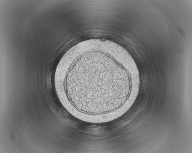 X0000110700267200907241131