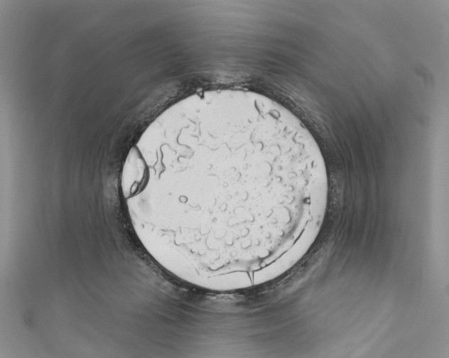 X0000110700269200907241131