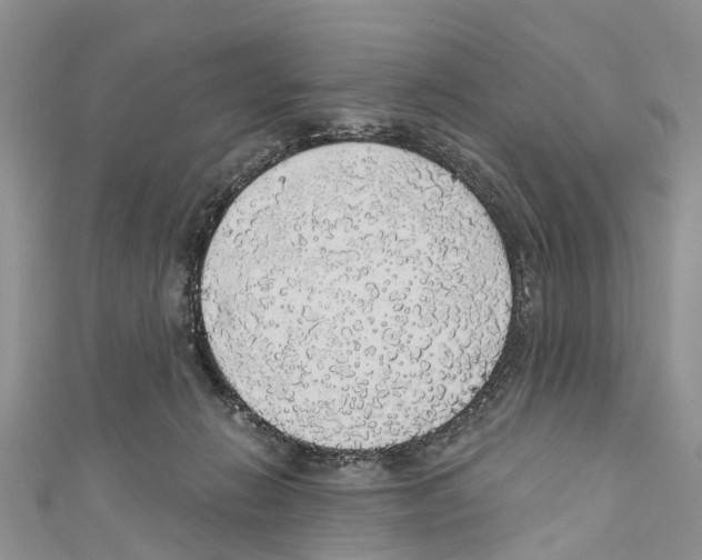 X0000110700270200907241131