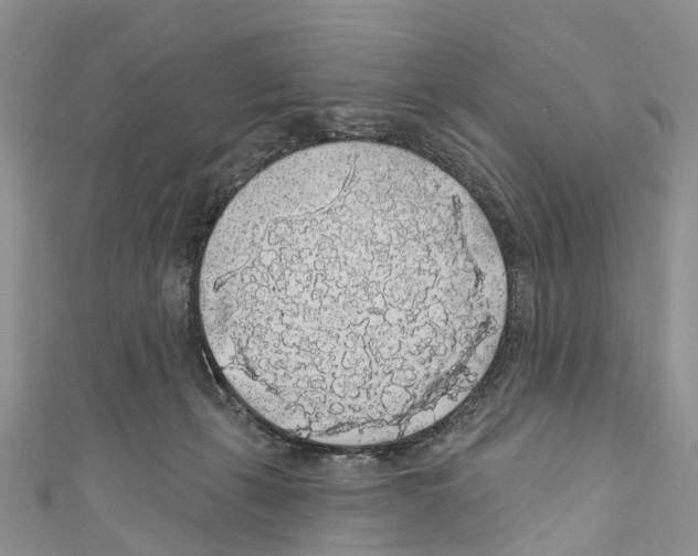 X0000110700271200907241131