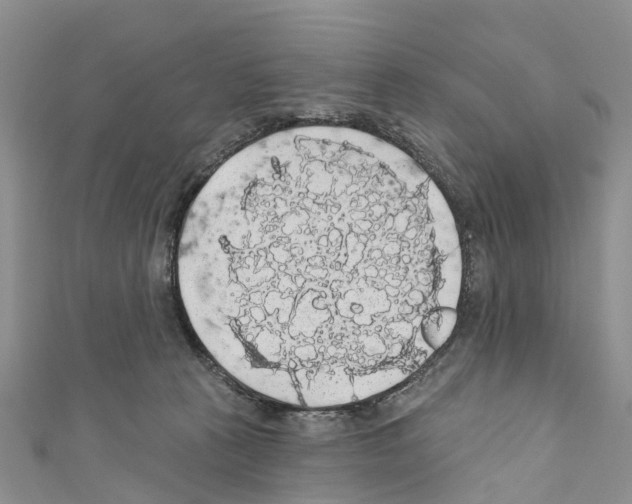 X0000110700273200907241131