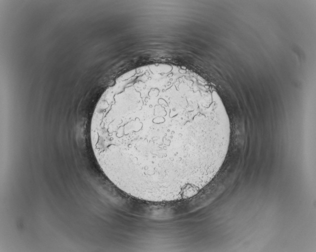 X0000110700275200907241131