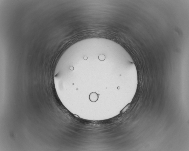 X0000110700276200907241131