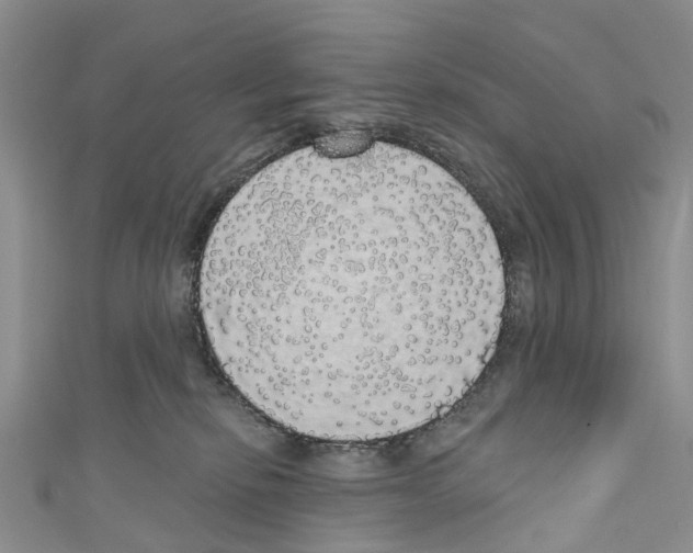 X0000110700278200907241131