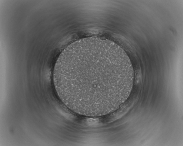 X0000110700279200907241131