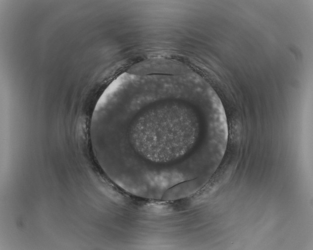 X0000110700280200907241131