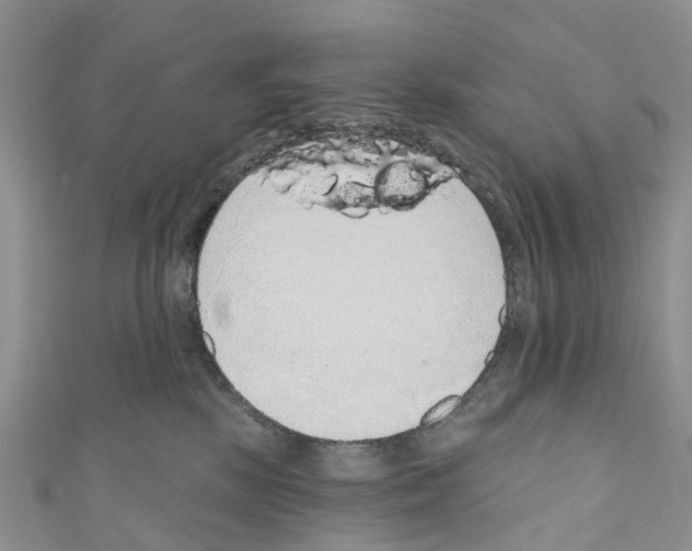 X0000110700281200907241131