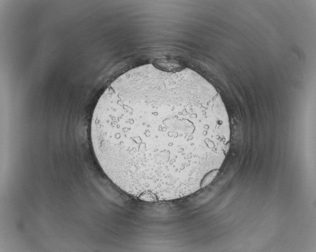 X0000110700282200907241131