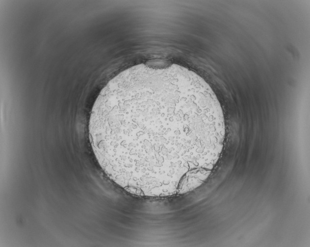 X0000110700283200907241131
