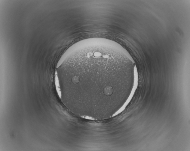 X0000110700284200907241131