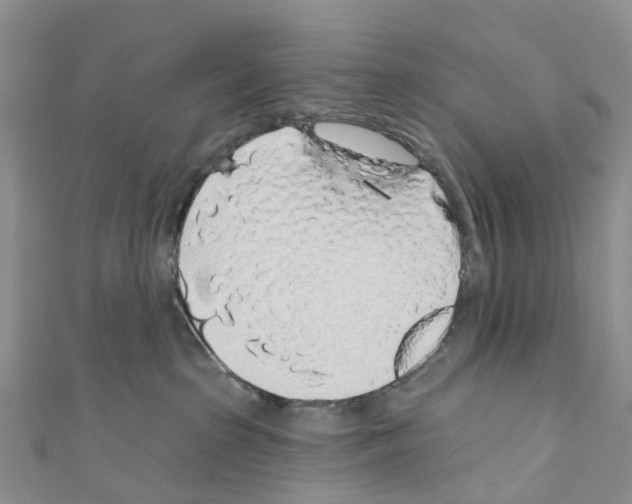 X0000110700285200907241131