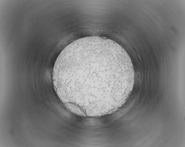 X0000110700286200907241131