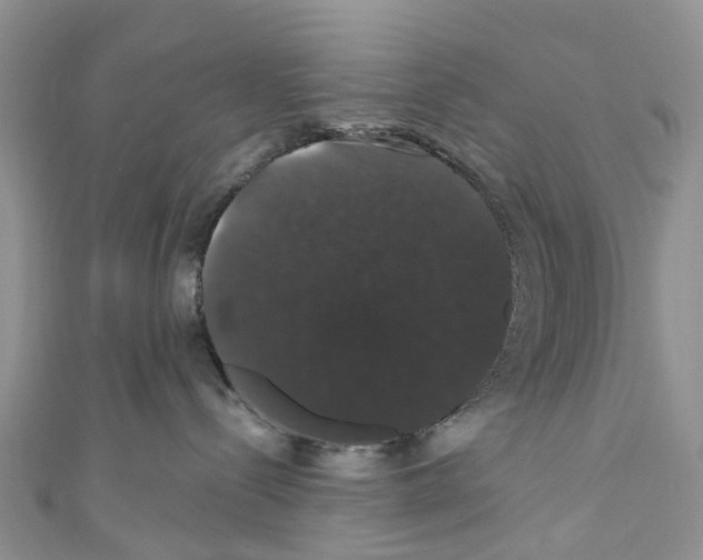 X0000110700288200907241131