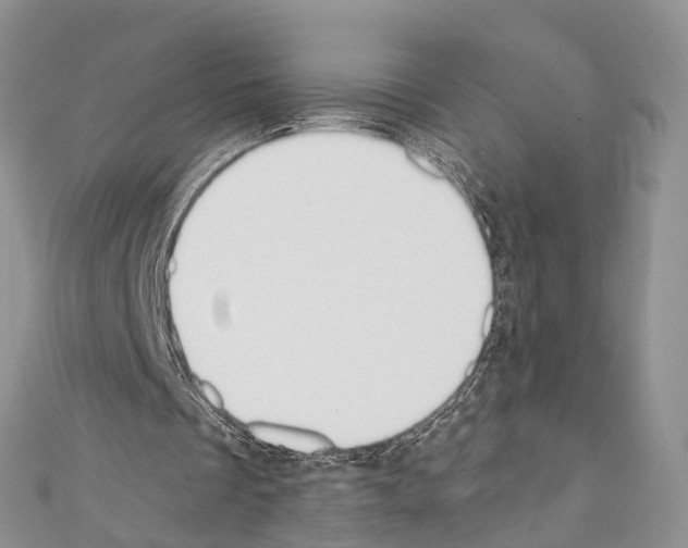X0000110700289200907241131