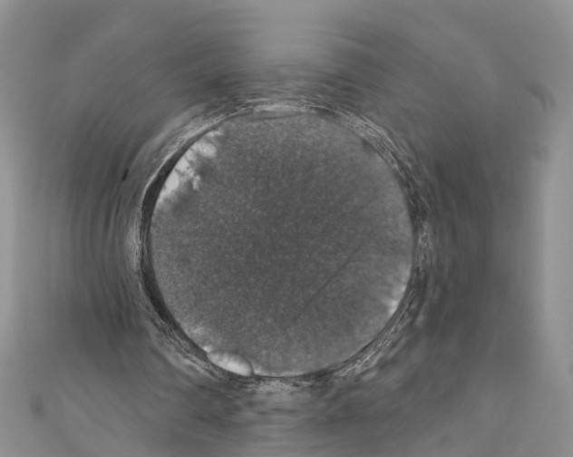 X0000110700290200907241131