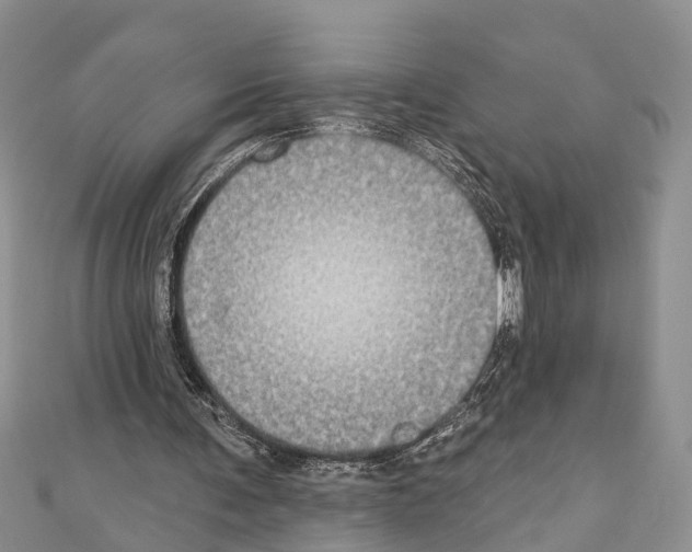X0000110700291200907241131