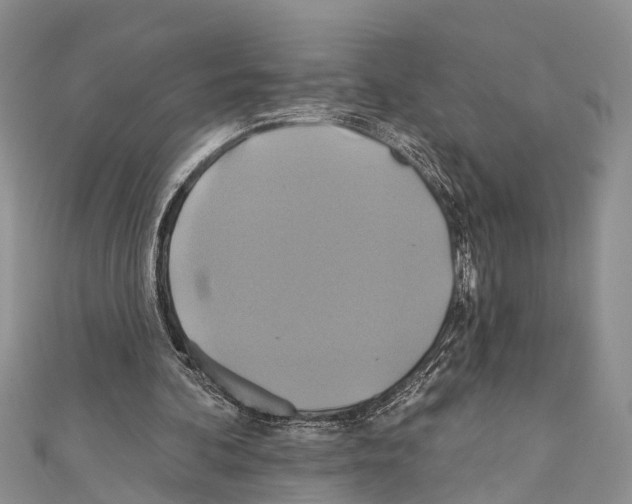 X0000110700292200907241130