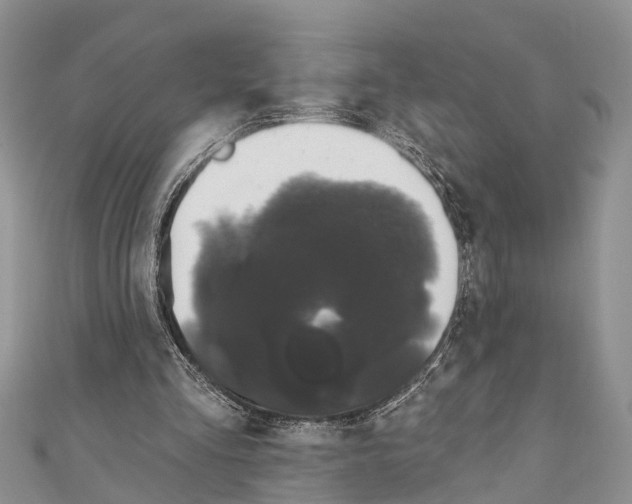 X0000110700293200907241130