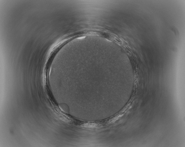 X0000110700294200907241130