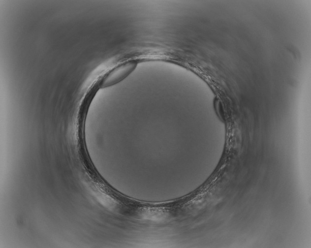 X0000110700296200907241130