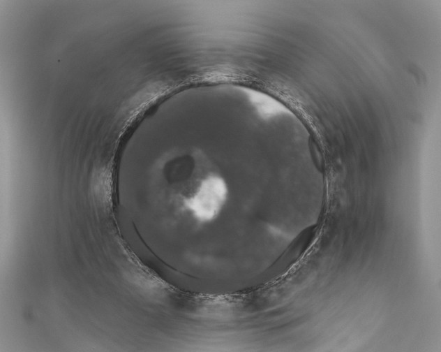 X0000110700297200907241130