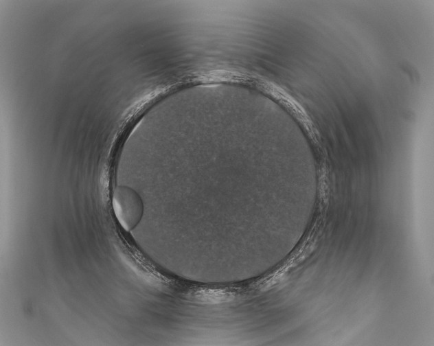 X0000110700298200907241130