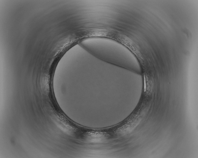 X0000110700300200907241130