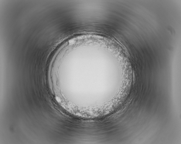 X0000110700301200907241130